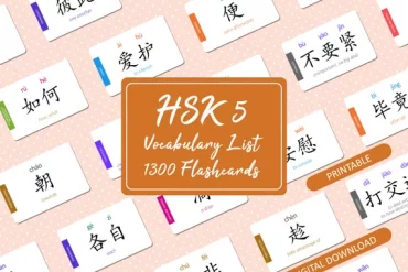 Học 600 Từ Vựng HSK4 Flashcard